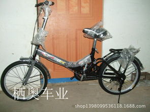 車輪上的童年 平鄉(xiāng)縣棲奧童車組裝廠與自行車產(chǎn)業(yè)的影像記憶