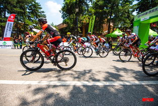 感受千年古都魅力 臺(tái)灣精品美利達(dá)杯國(guó)際自行車邀請(qǐng)賽